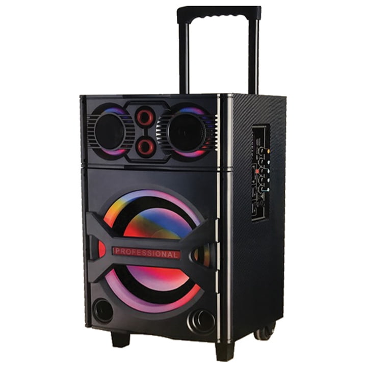 Best Bluetooth Dj Speakers MAXPOWER Professional DJ Speaker System Single 10" Woofer with