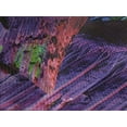 thumbnail image 4 of Ambesonne Colorful Quilted Bedspread Set 3 Pcs, Rainbow Colored Rock, King Size, Multicolor, 4 of 5