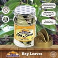 thumbnail image 4 of Rani Bay Leaf (Leaves) Whole Spice Hand Selected Extra Large 0.4oz (12g) PET Jar ~ All Natural | Gluten Friendly | NON-GMO | Vegan | Kosher | Indian Origin (Tej Patta), 4 of 7