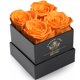 thumbnail image 1 of Regalo de cumpleaños Preserved Rose Impouo Eternal Love para ella, 1 of 6