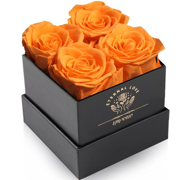 Regalo de cumpleaños Preserved Rose Impouo Eternal Love para ella