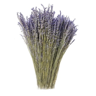 SUP Bâtons Fleurs de Lavande Artificielles 37CM Violette Lavande