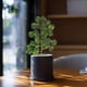 thumbnail image 1 of Uuiauoio Artificial Pine Needles Pine Branches Spray Fake Plastic Greenery for Garden Wedding Home Outdoors Decorations, 1 of 6