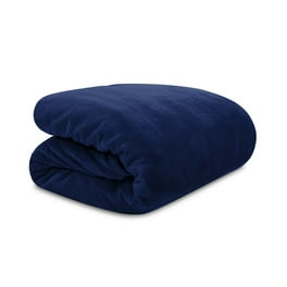 Lauren Ralph Lauren Full Queen Micromink Plush Blanket 90 x 90