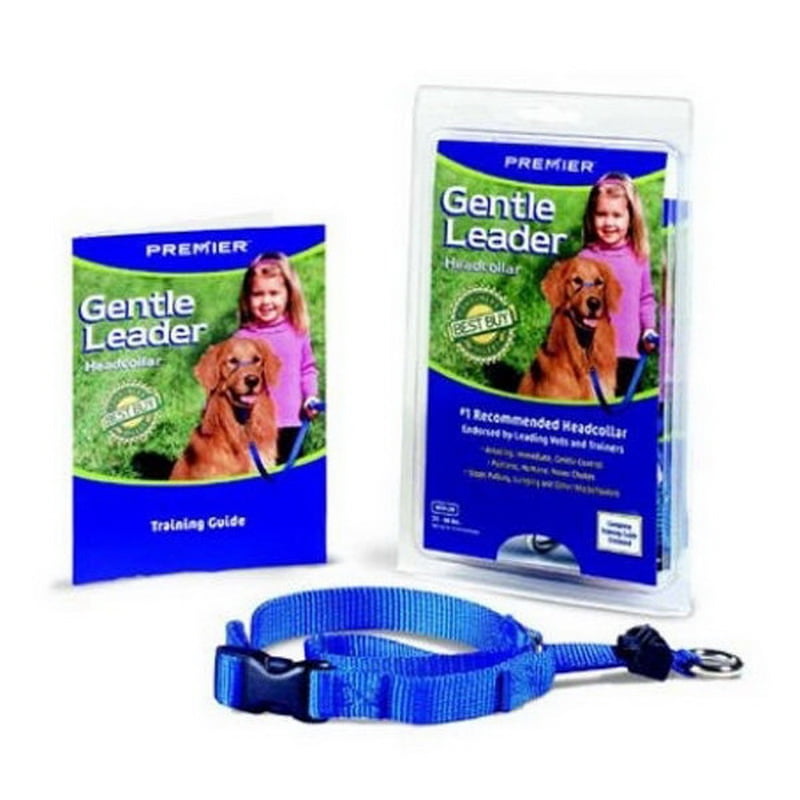 Gentle leader walmart Clearance