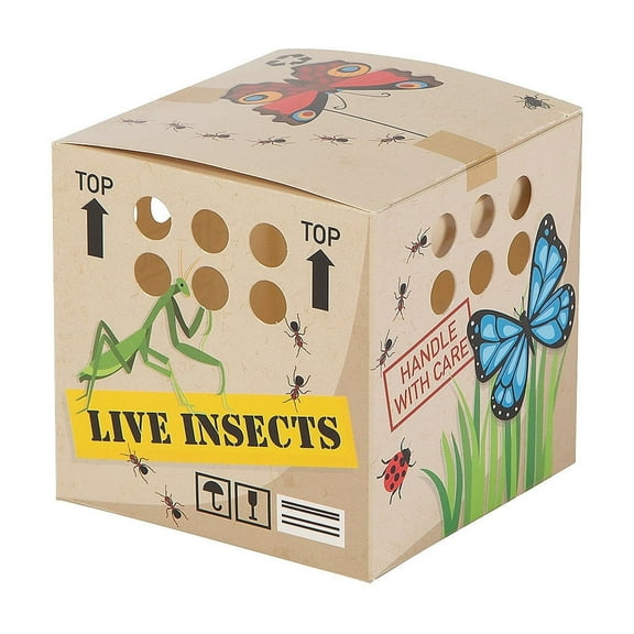 Fun Express Backyard Adventure Favor Boxes - Perfect for Birthday Parties Outdoor Adventures Themed Celebrations & Special Events - Ideal for Kids Birthdays and Outdoor Fun - 12 Pieces