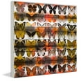thumbnail image 2 of Parvez Taj Moths in Rows Art Print on White Pine Wood, 2 of 7