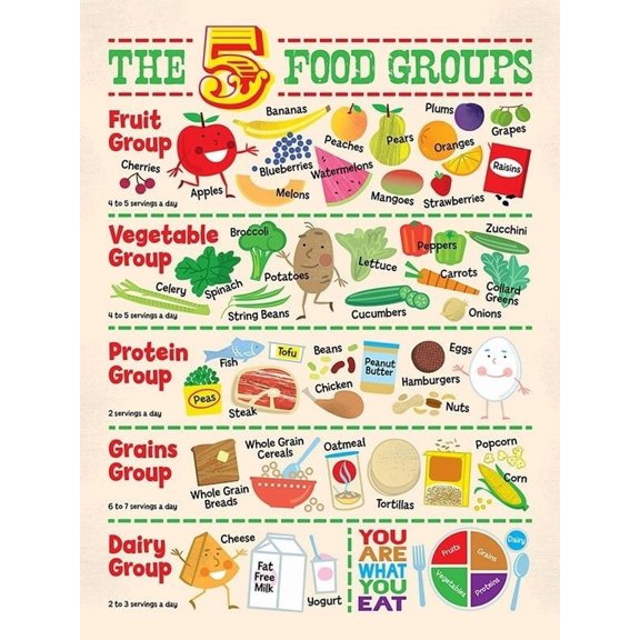 THE FOOD GROUPS Food Guide Poster Wall Art Nutrition Grocery List Prints Health Nutrition Grocery Kitchen Decor poster