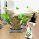 thumbnail image 3 of Hydroponic Brazilian Wood Nutrient Solution No Dilution Required Special Nutrient Solution Brazilian Wood Flowering Special Nutrient Solution 100ml, 3 of 7