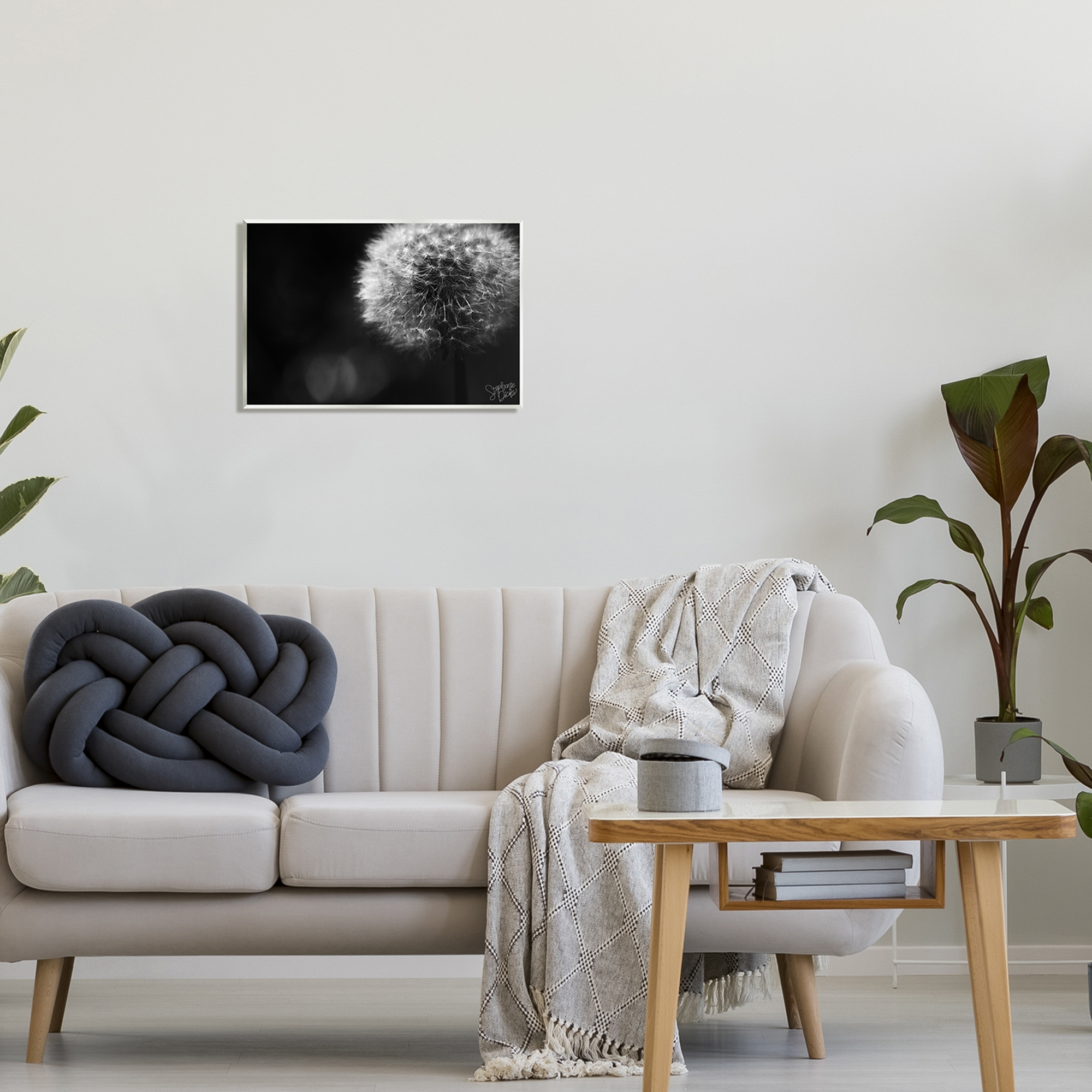 Stupell Modern Black Dandelion Photography Botanical & Floral Photography Wall Plaque Unframed Art Print Wall Art