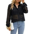 thumbnail image 5 of NeedBo Women's Long Sleeve V Neck Button Down Mesh Shirt See Through Sheer Blouse Tops, Black XL, 5 of 5