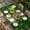 Green, variant on St. Patrick’s Day Shamrock Table Cloths for 4 Foot Rectangle Tables, Dark Green Books Cups Lucky Leaf Patio Waterproof Elastic Fitted Tablecloths, Washable Rectangular Table Cover for Camping