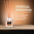 thumbnail image 2 of Ambientador Mikado Aura Tropical 100 ml, 2 of 4