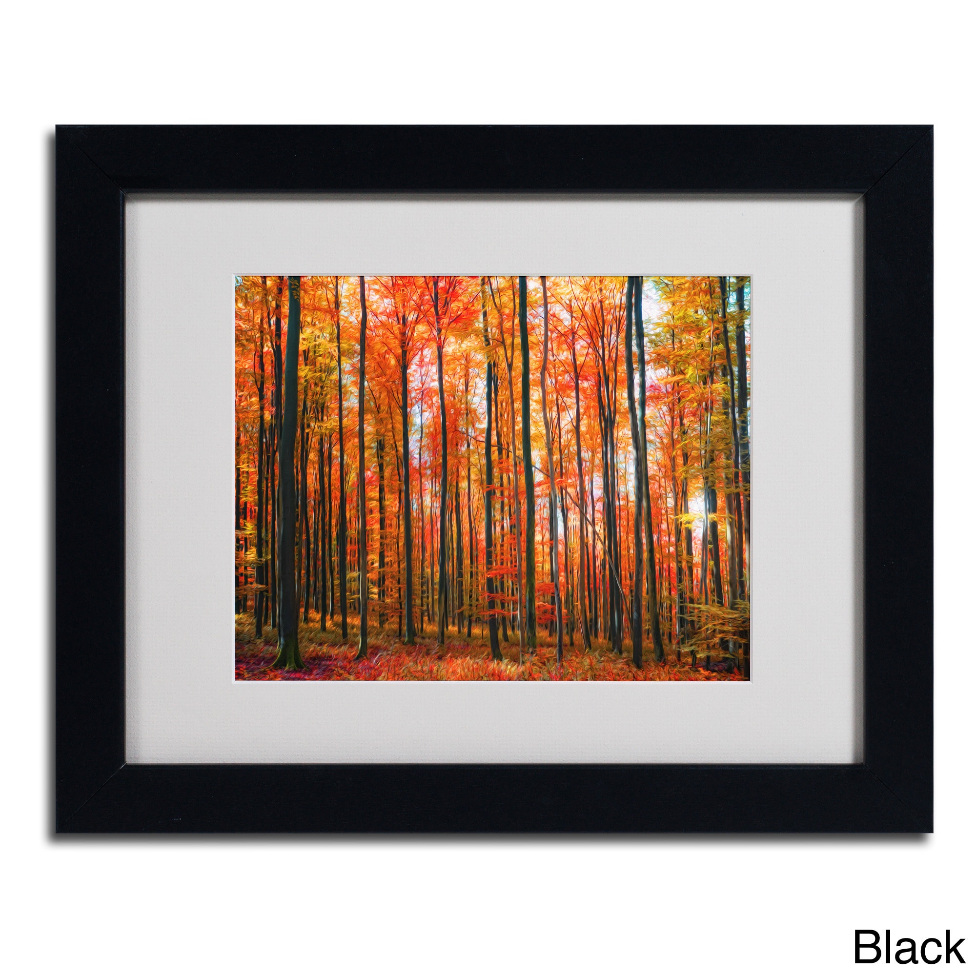 Trademark Fine Art "Dominated" Canvas Art by Philippe Sainte-Laudy, Wood Frame
