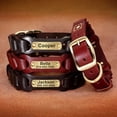 thumbnail image 2 of Large Dog Leather Collar w/ Gold Name Tag - Engrave Your Pet's ID, 2 of 10