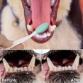 thumbnail image 2 of 2pcs Soft Silicone Dog Toothbrushes with Comfort Grip Handle - Gentle Dual-Sided Teeth Cleaning for Pets, 2 of 5
