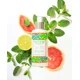 thumbnail image 1 of Aceite para Masajes 138ml con Menta, Toronja y Té Limón - Refrescante, Energizante y Natural, 1 of 3