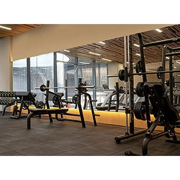 HA Wall-Mounted Activity Mirror with Flat Polished Edge, Home Gym Beveled Workout Room Wall for Fitness, Dancing, Gymnastics, Yoga Horizontally or Vertically (1piece), Silver