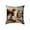 C, variant on Qiweii 45x45cm Cute Animal-Print Pillow Set, Soft Sofa Living Room Bedroom Cushions, Decorative Home Accent Pillows