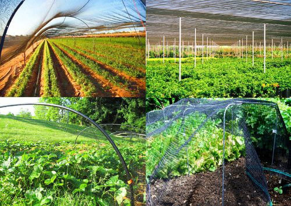 50ft x 100ft Strong Nylon 2-Inch Mesh Anti Bird Poultry Netting for Fruit Trees Used As Bird Netting for Chicken Coop, Garden Netting, Plant Netting, Tree Protectors, Aviary Netting
