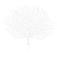 thumbnail image 1 of 1 rama de coral artificial de plástico para decoración paisajística, ideal para bodas, acuarios y el hogar (blanco)., 1 of 7