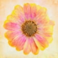 thumbnail image 2 of Greene, Taylor 15x15 White Modern Wood Framed Museum Art Print Titled - DAISY CHAIN 2, 2 of 4