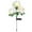 White, variant on Lilixerw Solar Garden Light,Solar Flower Lights Outdoor Colorful Lights,Hydrangea Flower Lights for Yard Decor Garden Decoration