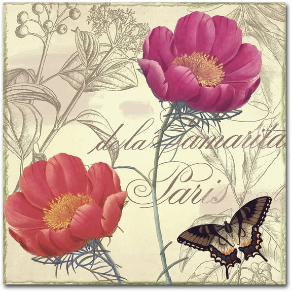 Trademark Fine Art "Petals of Paris I" Canvas Art by Color Bakery