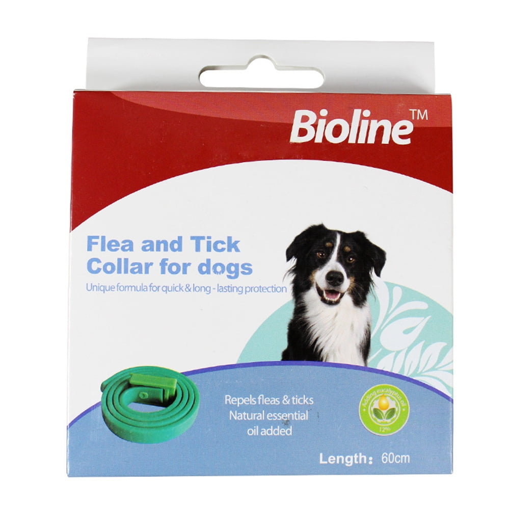 How Do You Deodorize A Dog Collar