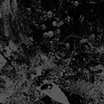 thumbnail image 2 of Primitive Man/Unearthly Trance - Split, 2 of 2