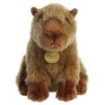 thumbnail image 2 of Aurora Peluches - Capybara 9 Pouces, 2 of 2