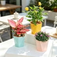 thumbnail image 7 of HomelyJoy Modern Geometric Plastic Planter, 14.5x5 Inch Pink Nordic Style Flower Pot with Drainage Holes for Window Sill Desktop Patio Garden, No Tray, 7 of 7