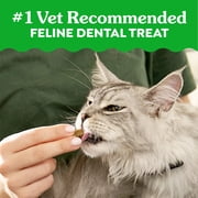 Greenies Feline Catnip Flavor Adult Natural Dental Cat Treats, 4.6 Oz Pouch