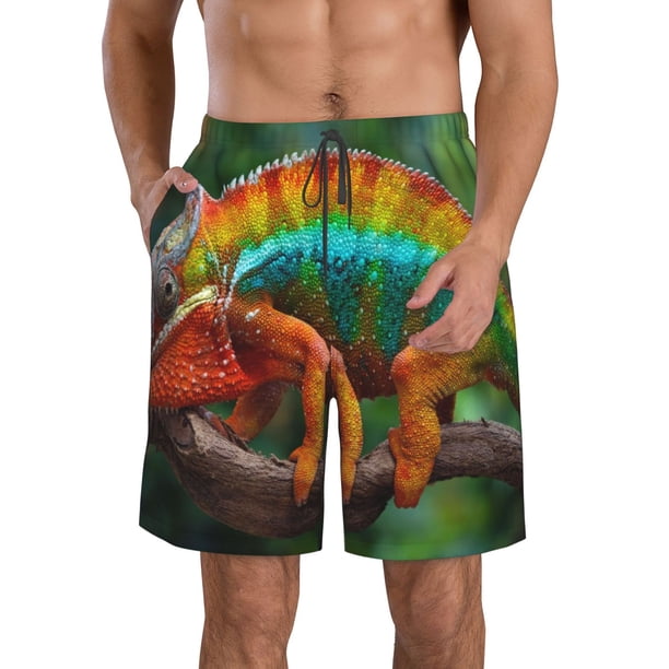 Fotbe Chameleon Trajes de Baño Estampados para Hombre, Shorts de Verano de Secado Rápido, Ropa de Playa, Bañadores-Large