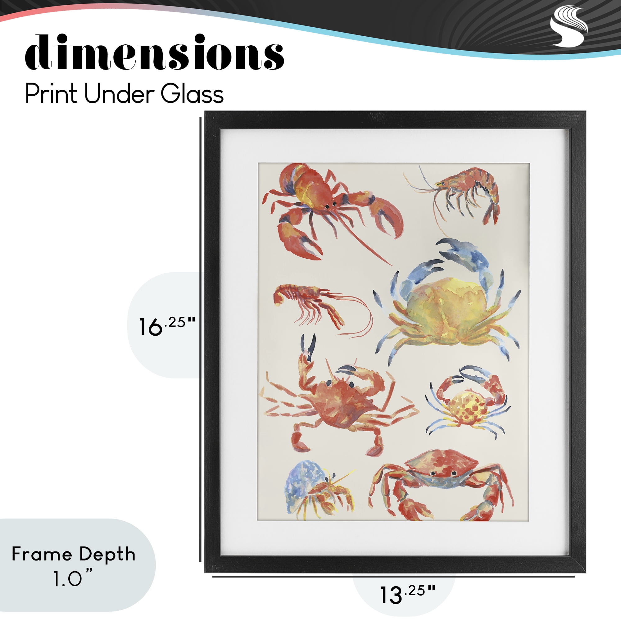 Stupell Industries Crab & Crustacean Collection Black Framed Print Under Glass, design by June Erica Vess