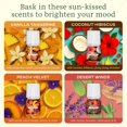 thumbnail image 3 of Mezclas de aceites esenciales Lifelines ClickWick, paquete de 4 unidades Sun-Kissed, 3 of 7