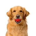 thumbnail image 3 of Playology Dog Toys | Durable Dog Ball for Aggressive Chewers, Beef Scented Toy - Jumbo, 3 of 6