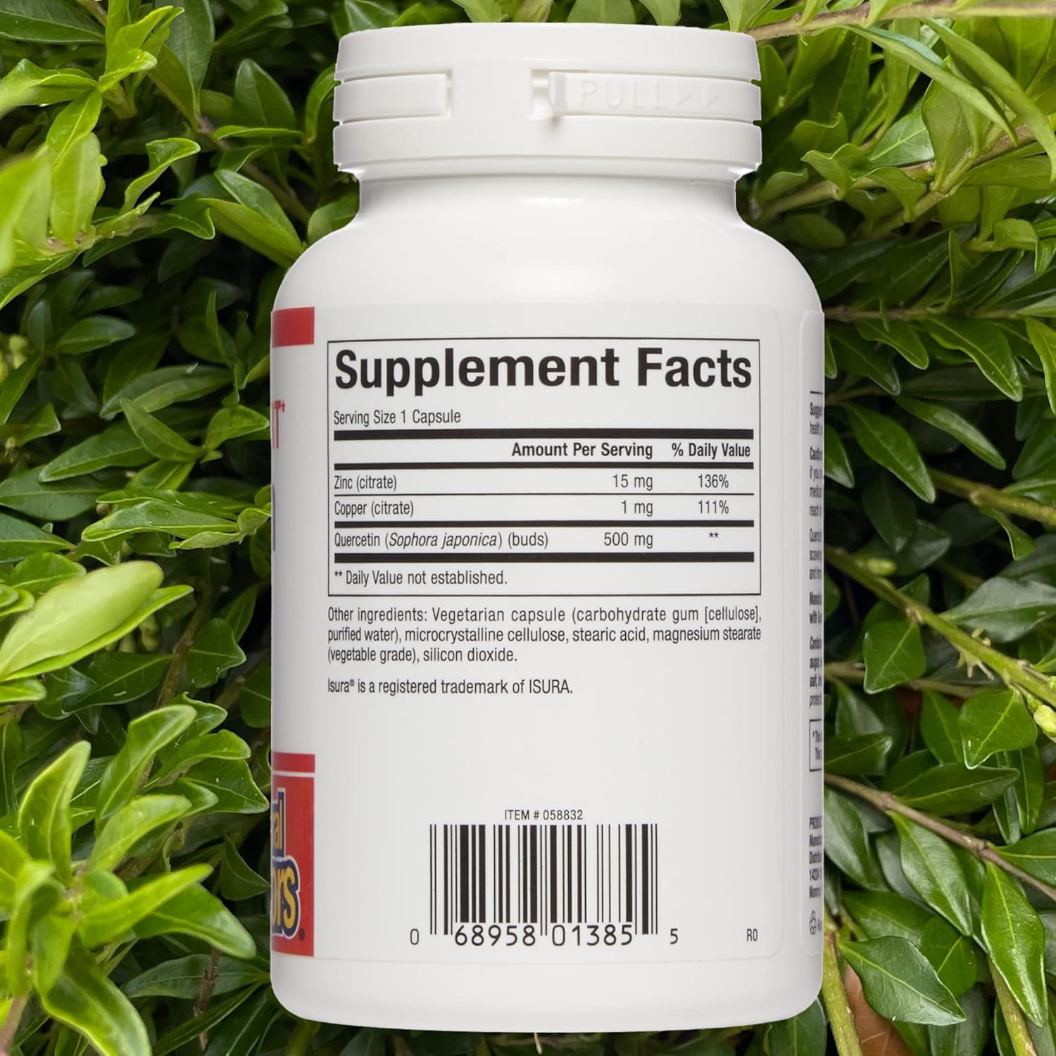 Natural Factors Quercetin 500 mg with Zinc and Copper for Added Immune Support, 60 Capsules