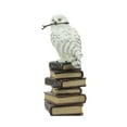 thumbnail image 2 of Veronese Design 5 1/2 Inch Magic Wand Snowy Owl On Book Stack Hand Painted Resin Statue Home Decor, 2 of 3