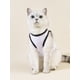 thumbnail image 4 of PETSIN Valentine's Day 1pc Heart & Leopard Print Pet Tank, 4 of 5