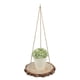 thumbnail image 2 of Estante de exhibición de plantas, estante de plantas retro Vantage para patio doméstico, estante para plantas, rendimiento de alta gama, 2 of 8