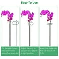 thumbnail image 3 of 10Pcs 16in Plant Support Stakes Garden Flower Single Stem Support Stake Iron Plant Cage Support Ring For Tomatoes Orchid Lily Peony Rose Flower Amaryllis Iris Stem, 3 of 8