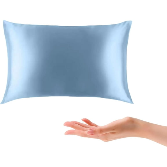 100% 22 Momme Mulberry Silk Small Pillow 10"x 13" Made in USA, Organic Cotton Fill, Travel Size Mini Nap Pillow with Silk Pillow Case, Soft Tiny Little Pillow, Hypoallergenic