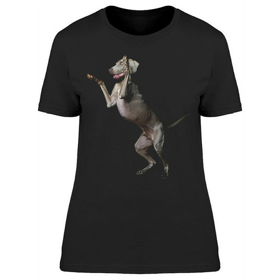 Weimaraner Dog Fun Trick T-Shirt Women -Image by Shutterstock, Female XX-Large