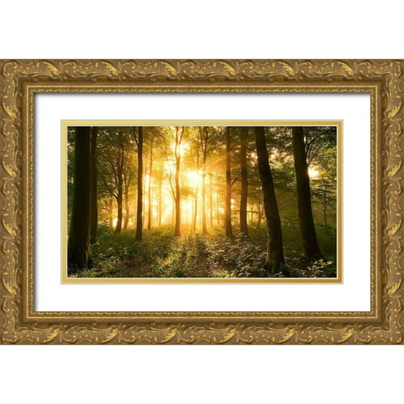 Londal, Leif 18x12 Gold Ornate Wood Framed with Double Matting Museum Art Print Titled - Light in the Forest.