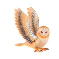 thumbnail image 3 of Owl Action Figura de escritorio Simulación Simulación realista Decoración del hogar Decoración del hogar Early Educational Figurado de vida silvestre para regalos Niños marrón claro, 3 of 10