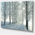 thumbnail image 2 of Arbres d'Hiver Rétroéclairés par le Soleil du Matin - Grande Impression sur Toile de Forêt, 2 of 4