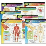 TREND The Human Body Chart Pack (38913)