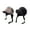 Black, variant on Women's Winter Reversible Trapper Hat with Fleece Lining and Adjustable Ear Flaps for Cold Weather Protection