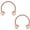 2PCS - 20G 3/8" Rose Gold, variant on 316L Surgical Steel CBR Horseshoe Circular Rings Nose Eyebrow Tragus Lip Ear Hoop Ring 20G 6MM 8MM 10MM 12MM
